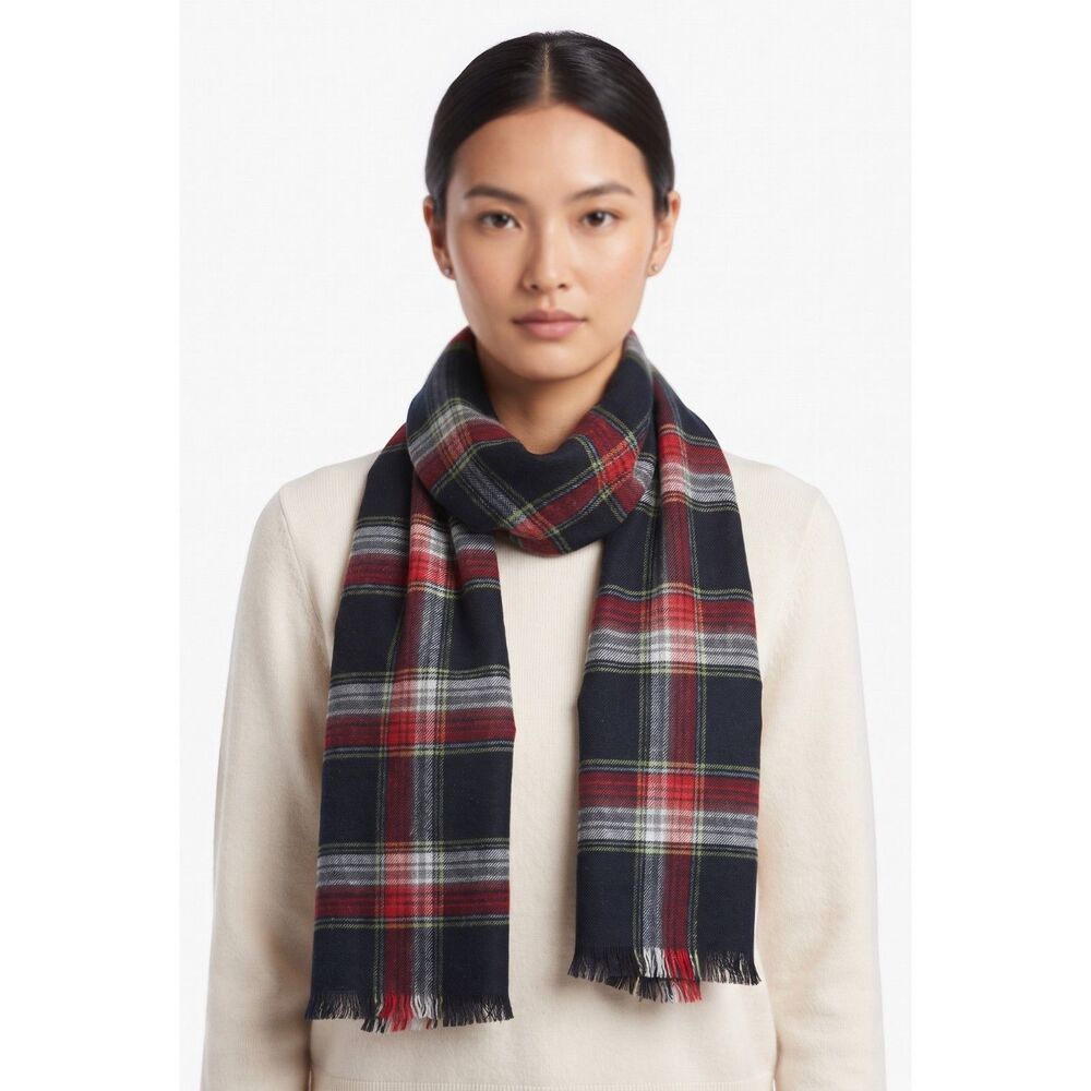 Hollister Long Plaid Fringed Scarf Black Blue